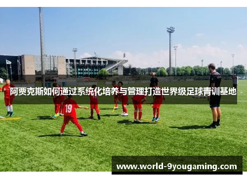 阿贾克斯如何通过系统化培养与管理打造世界级足球青训基地